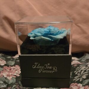 Blue Preserved Rose in Display Box